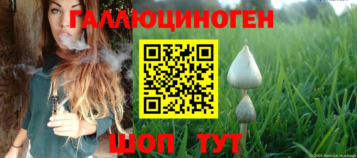 Псилоцибиновые грибы мухоморы  Вход с VPN  Луховицы 