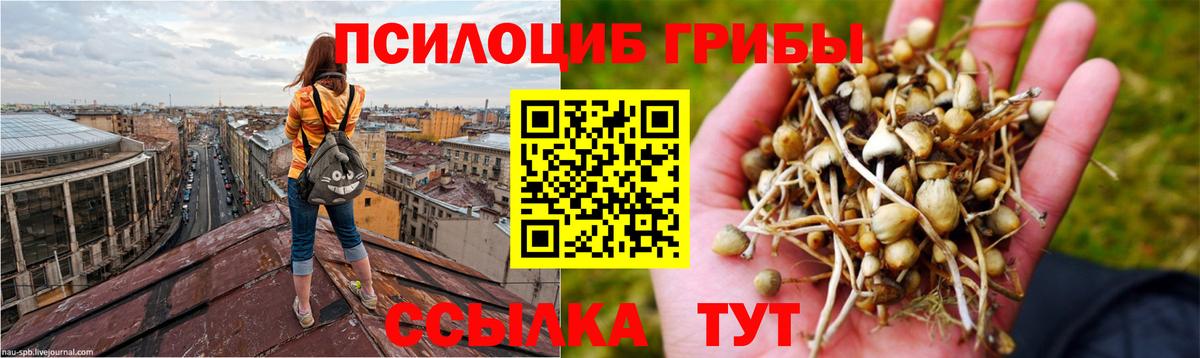 Псилоцибиновые грибы Magic Shrooms Луховицы